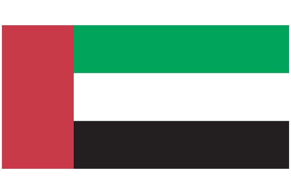 Vibrant Flag Design: A Colorful Display of National Pride