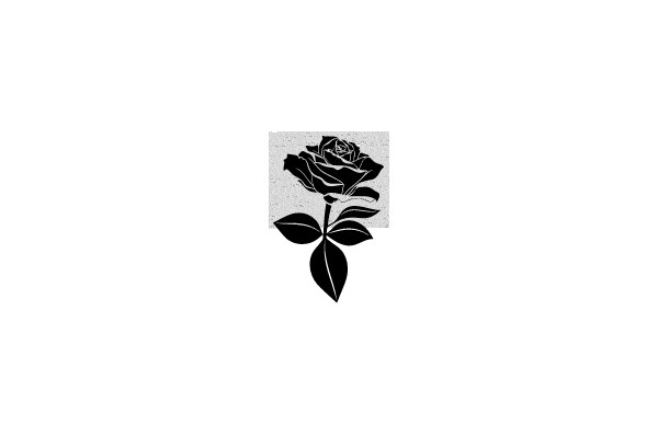 Rose Silhouette