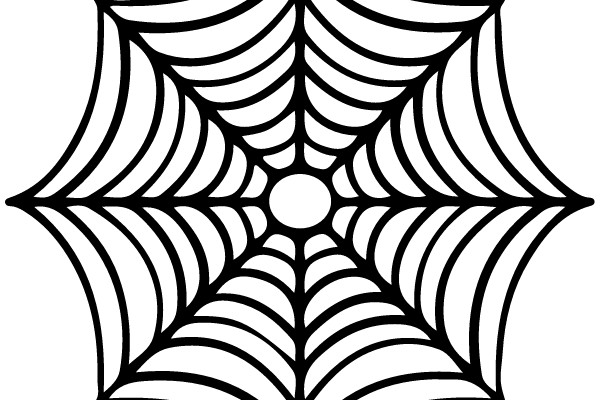 A Spider's Web