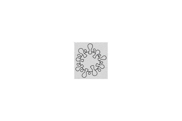 Virus Structure Diagram