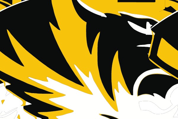 Tiger Head Logo