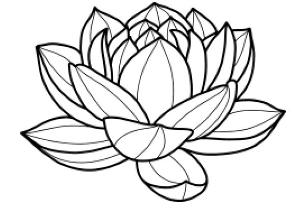 Stylized Lotus Flower Illustration