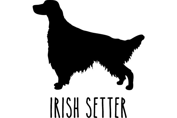 IRISH SETTER