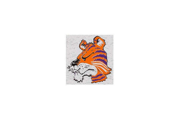 Tiger's Den: A Tale of Survival and Triumph