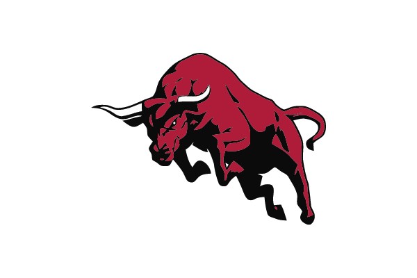Raging Bull Icon