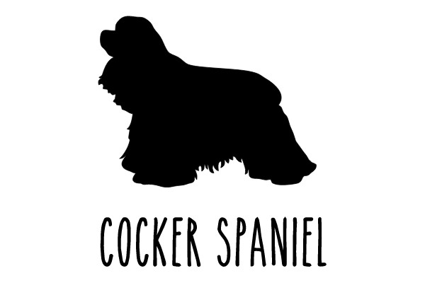 Cocker Spaniel