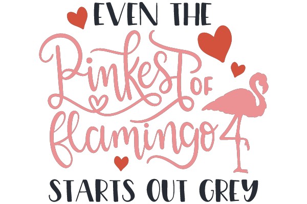 Even the PINKest of Flamingos Starts Out Grey
