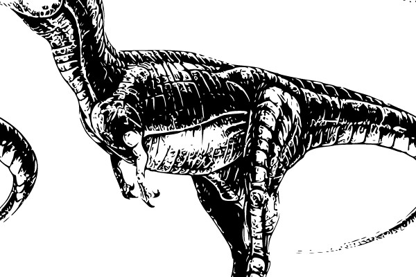 Dinosaur Silhouette