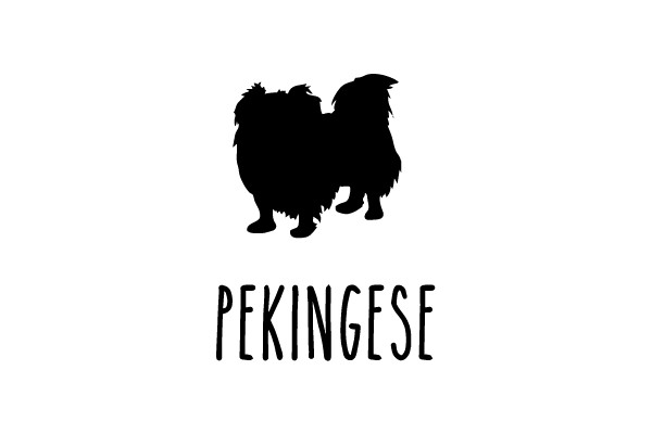 Pekingese Silhouette