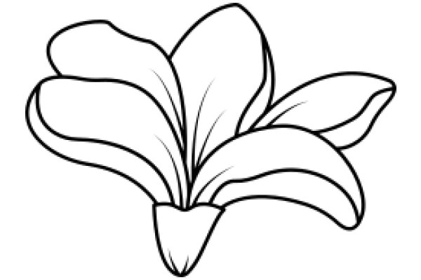 Simplistic Line Drawing of a Flower