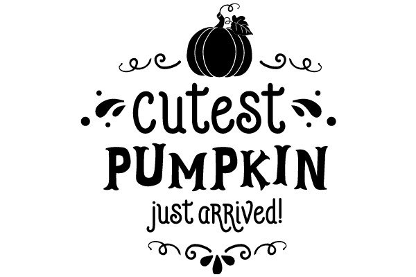 Cute Pumpkin Just Arrived!