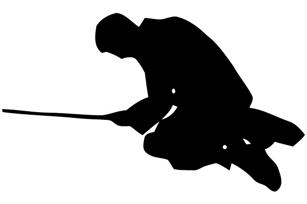 Fishing Silhouette