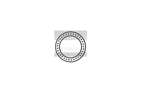 An Illustration of a Circular Object with Multiple Dot Patterns