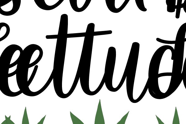 Devil's Lettuce