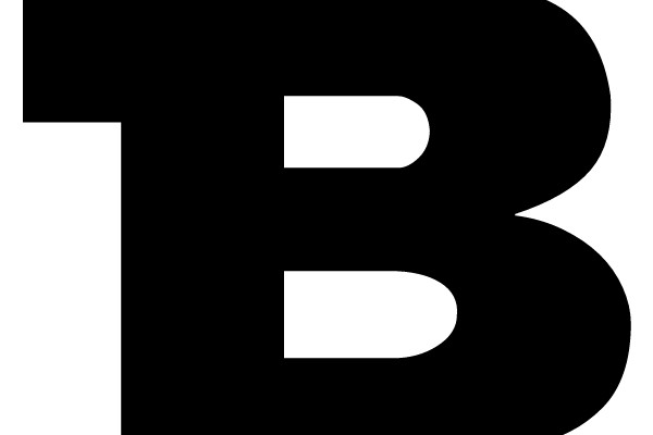 Large Bold Black Letter 'B'