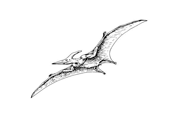 Prehistoric Winged Beauty: The Enigmatic Pterosaur