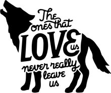 The Ones That Love Us: A Tribute to the Loyal Companions of the Canine World