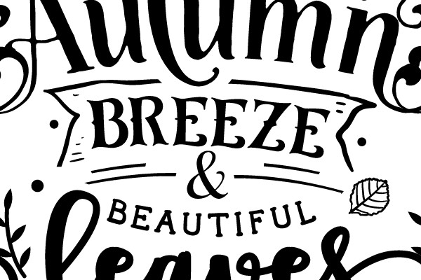 Autumn Breeze & Beautiful Leaves
