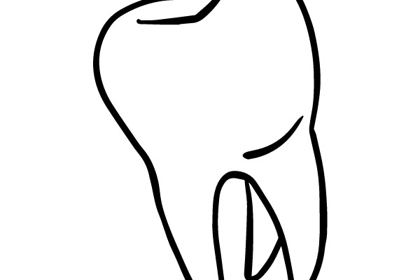 Tooth Illustration