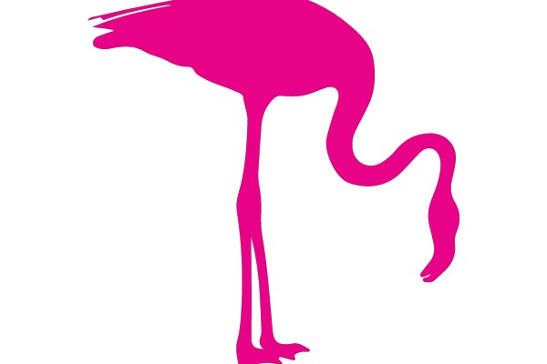 Flamingo Silhouette in Pink