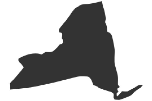 Silhouette of a State: A Graphic Representation of New York