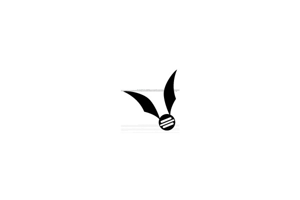Broomstick Icon