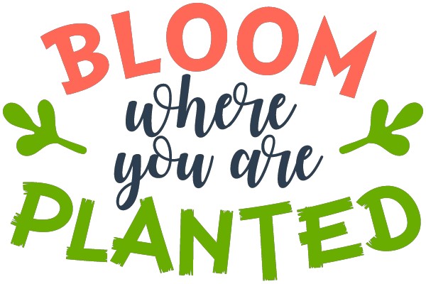 Bloom Where You Are Planted
