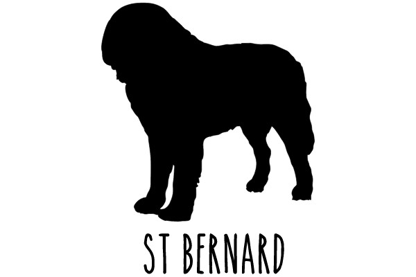 St Bernard