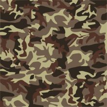 Camouflage Pattern: A Study in Color and Shape
