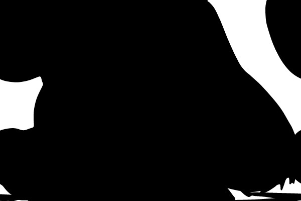 Bear Silhouette on Bench
