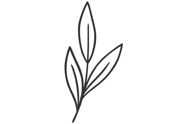 Simplistic Line Drawing of a Plant