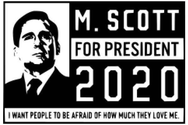 2020 Presidential Election Campaign Poster: M. Scott for President