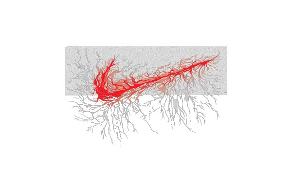 Map of a Complex Network: Exploring Connectivity and Spread