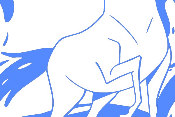 Wild Spirit: The Grace of a Running Horse
