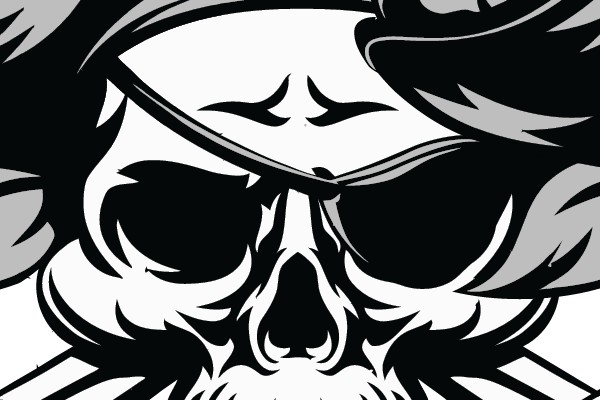Pirate Raiders Logo