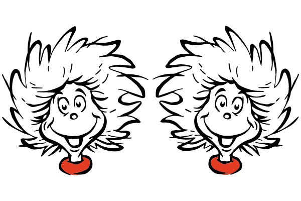 Mirror Image Duo
