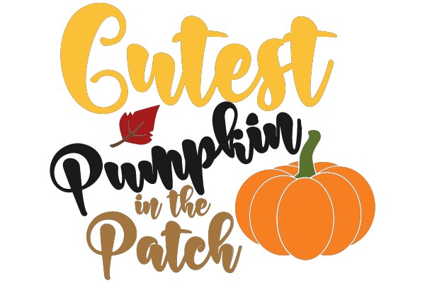 Cutest Pumpkin in the Patch