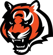 Vibrant and Fierce: The Tiger Logo