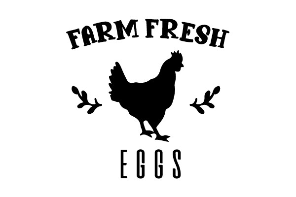 Farm Fresh Eggs