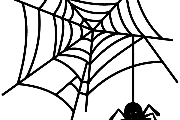 Spider and Web