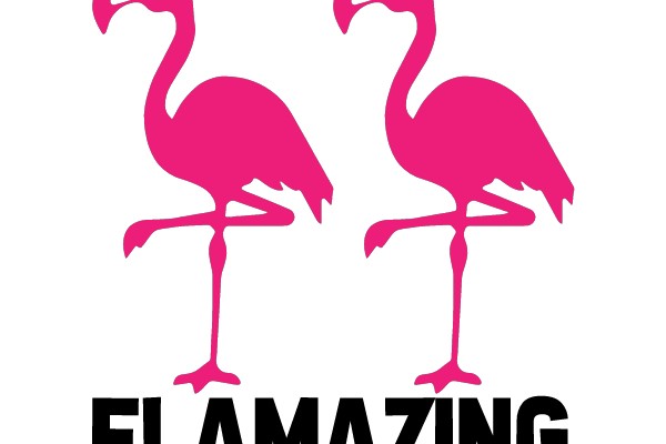 FLAMAZING FLAMINGOS
