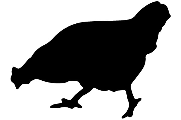 Silhouette of a Chicken