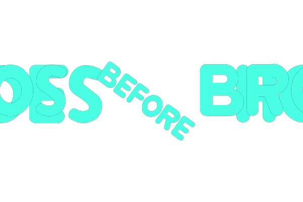 Bros Before Ho