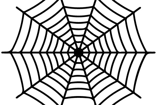 Spider Web Diagram