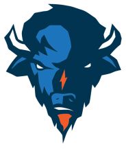 Stylized Bull Logo with Blue and Orange Accents