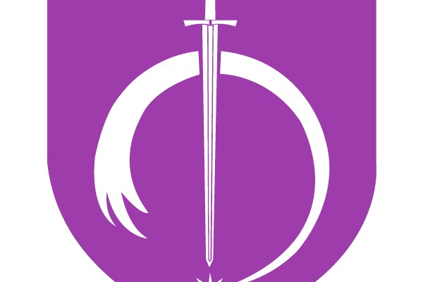 Symbol of the Star-Knight: A Heraldic Shield