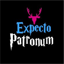 A Magical Invitation: The Enchanting World of 'Expecto Patronum' and the Power of Imagination