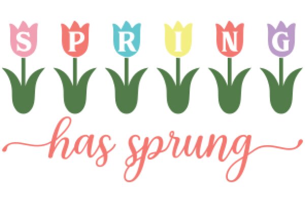 Spring Has Sprung: A Colorful Floral Celebration of the Season