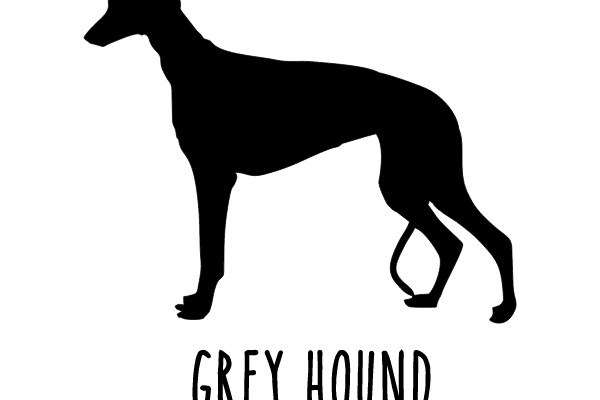 Grey Hound