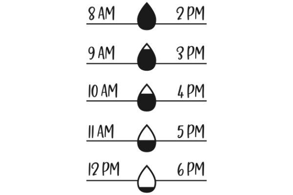 A Visual Guide to Time Management with a Twist of Humor